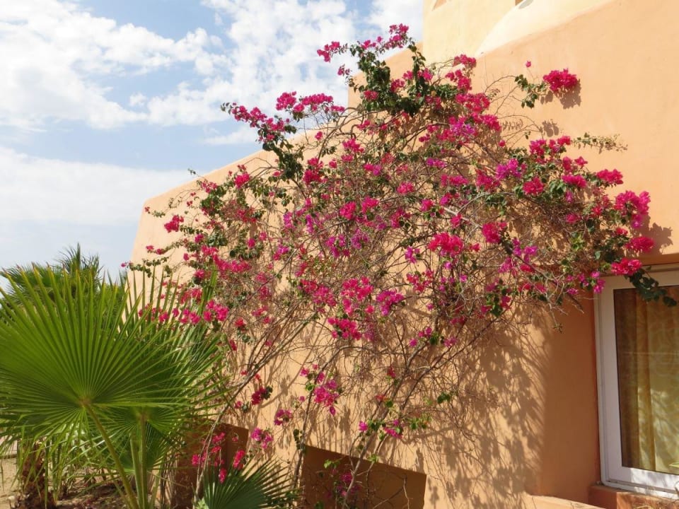 Selbsterklärend  Wadi Lahmy Azur Resort