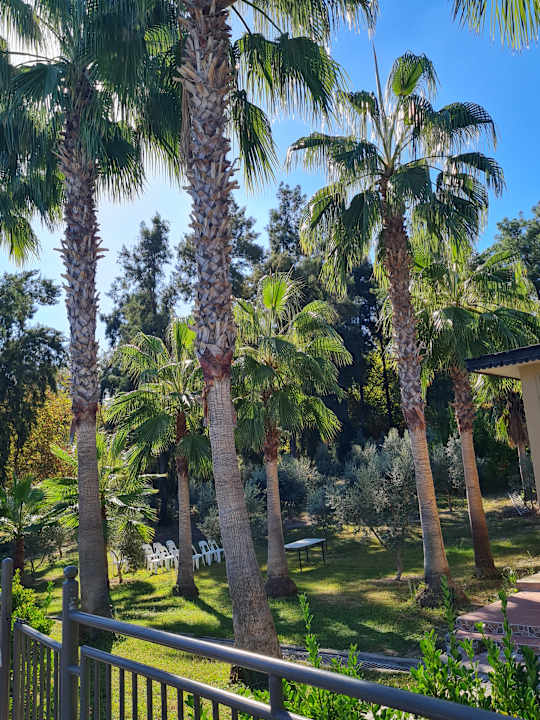 Gartenanlage Club Sidelya Hotel