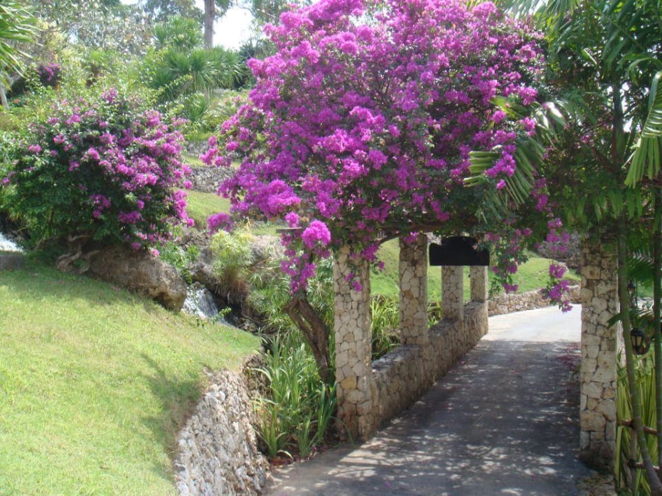 Garten Four Seasons Resort Bali at Jimbaran Bay