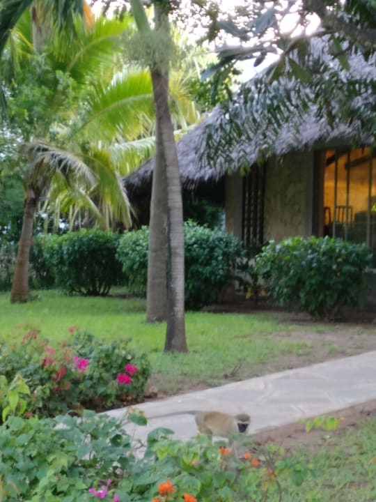 Außenansicht Hotel Southern Palms Beach Resort