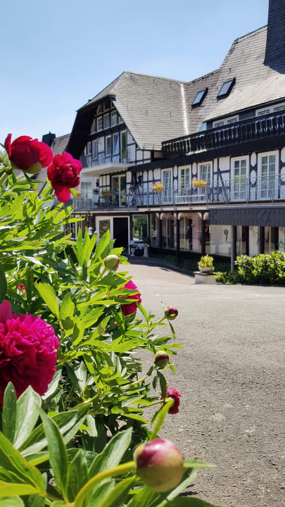 Außenansicht Hotel am See