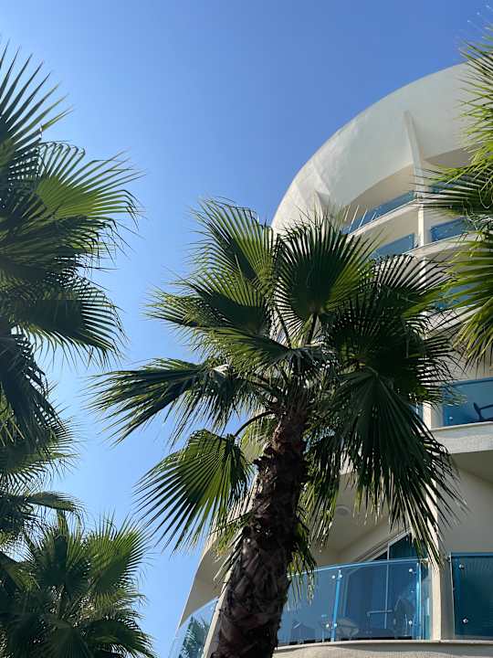 Außenansicht Sultan of Dreams Hotel & Spa