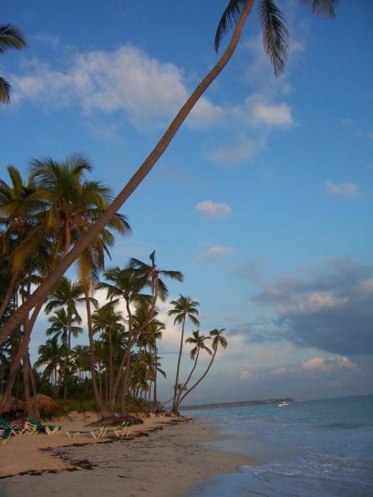 Hotelstrand Hotel Grand Palladium Palace Resort, Spa & Casino