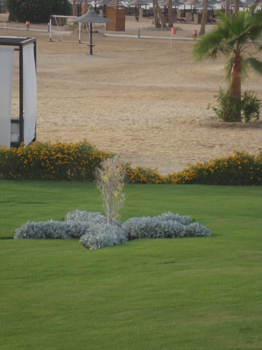 Liebevoll gestaltet Jaz Solaya