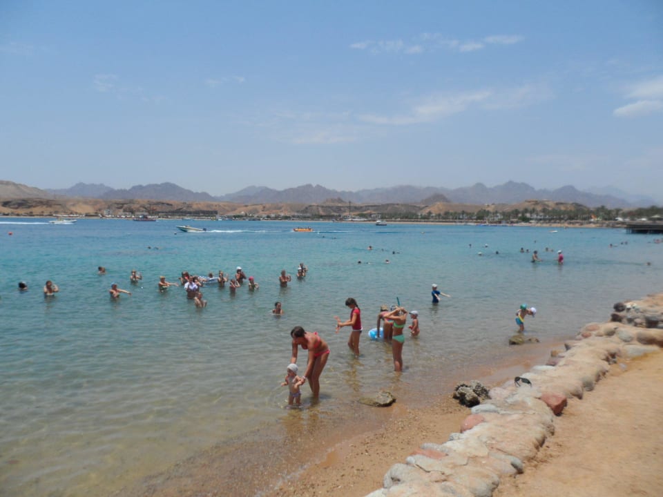 Аквааэробика Albatros Sharm Resort