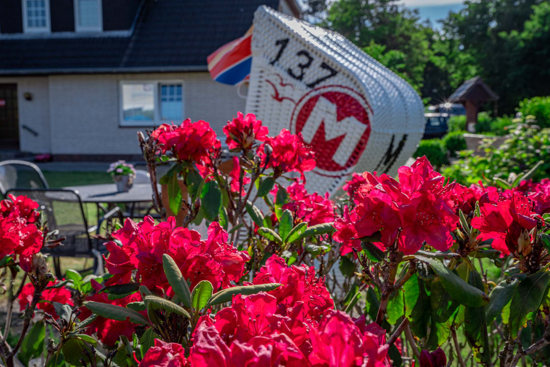 Gartenanlage Letj Briis