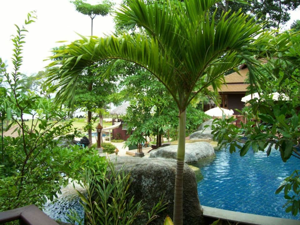 Khao Lak Merlin Khao Lak Merlin Resort