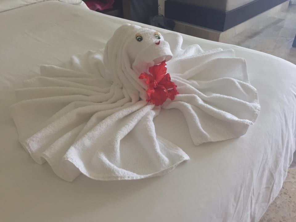Handtuch Tier Akumal Bay Beach & Wellness Resort