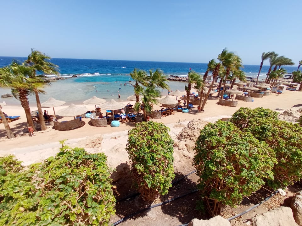 Lobby Pickalbatros Citadel Resort