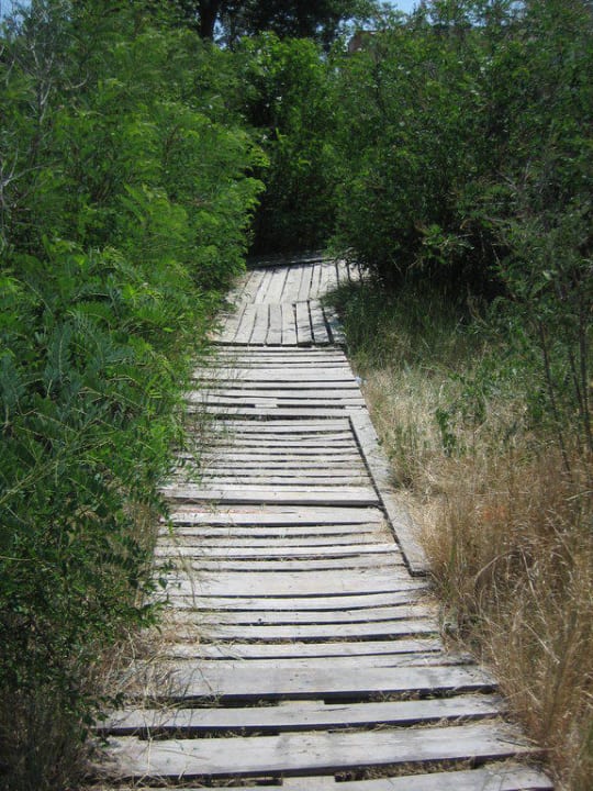 Weg zum Strand Hotel Aktinia