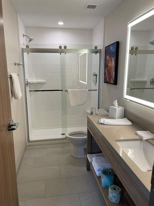 Zimmer Candlewood Suites - Detroit - Auburn Hills by IHG