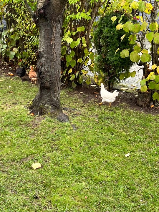 Gartenanlage The Old Phuket - Karon Beach Resort