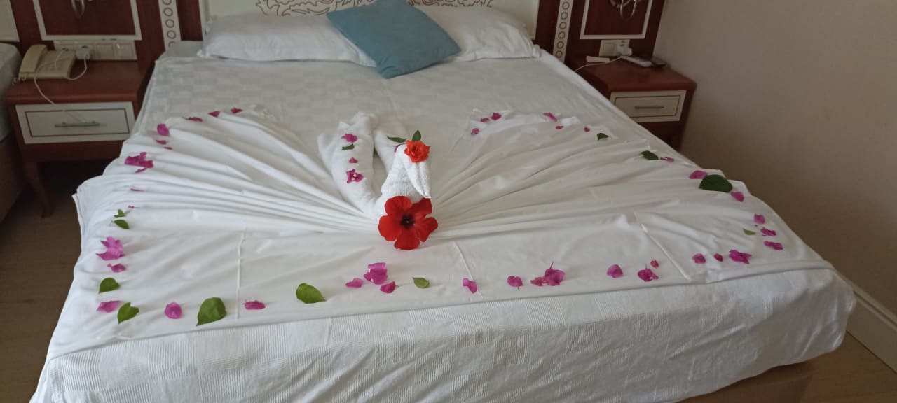 Zimmer Crystal Paraiso Aqua Collection