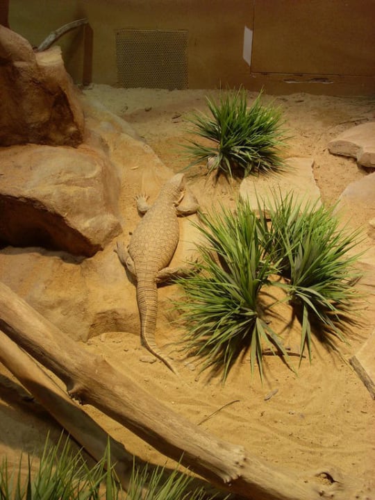 Dschungelland Ferienwohnungen Ferienpark Weissenhäuser Strand