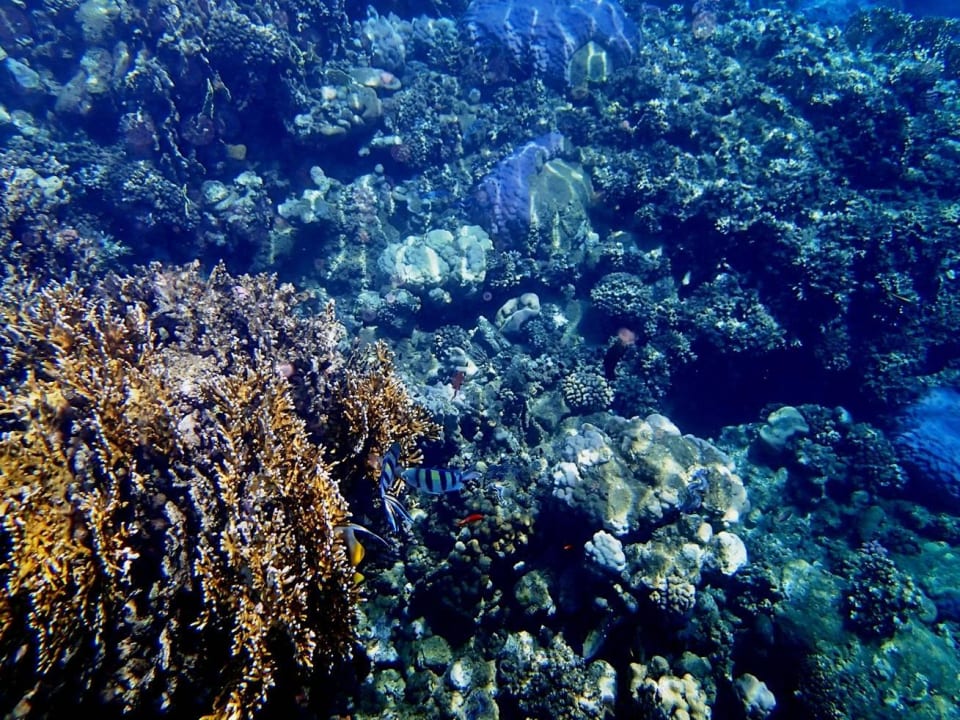 In the sea Three Corners Equinox Beach Resort