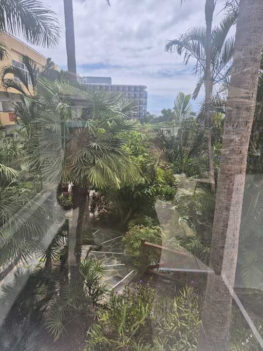 Pool allsun Hotel Lucana