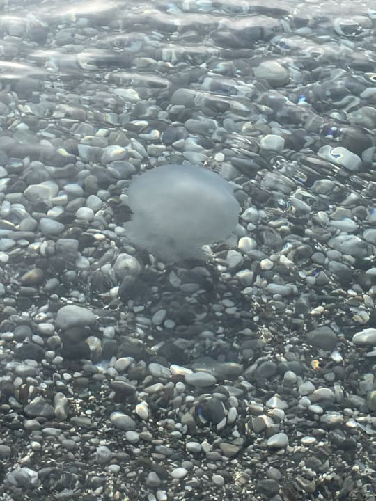 Strand Limak Limra Hotel & Resort