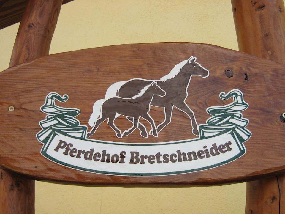 Am Ziel Pferdehof Bretschneider