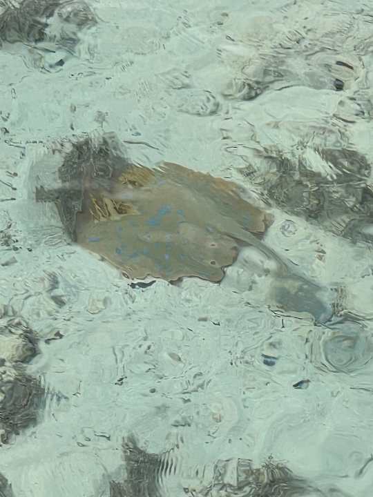 Sonstiges Casa Mare Resort