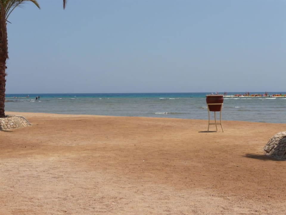 Одинокая урна Pickalbatros Palace Resort