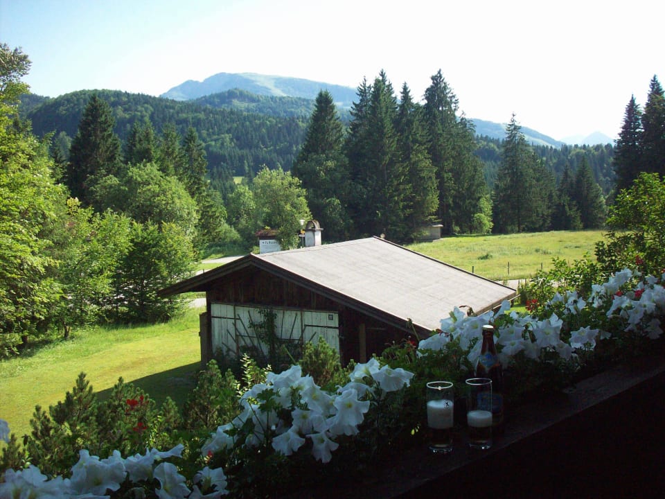 "Aussicht im Sommer von der Ferienwohnung 1" Haus