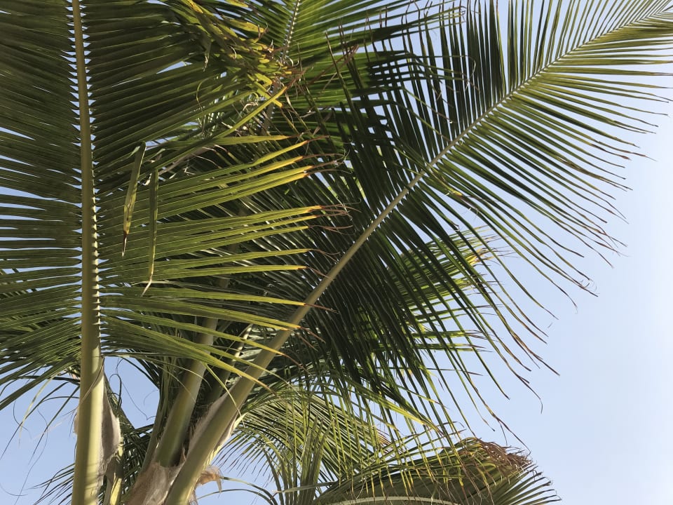 Strand DoubleTree by Hilton Resort & Spa Marjan Island