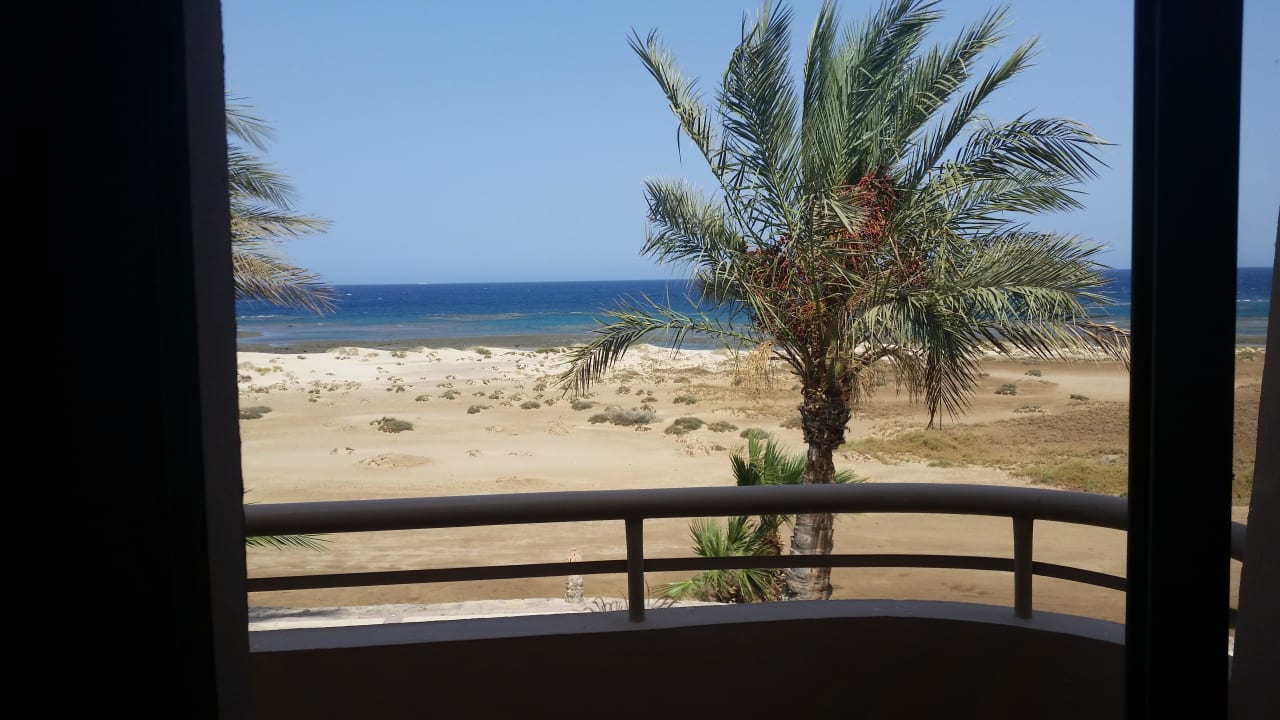 Ausblick vom Zimmer  Shams Alam Beach Resort