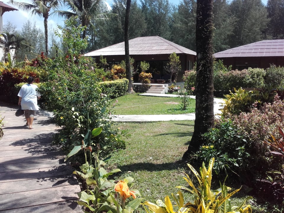 Zimmer The Andamania Beach Resort & Spa