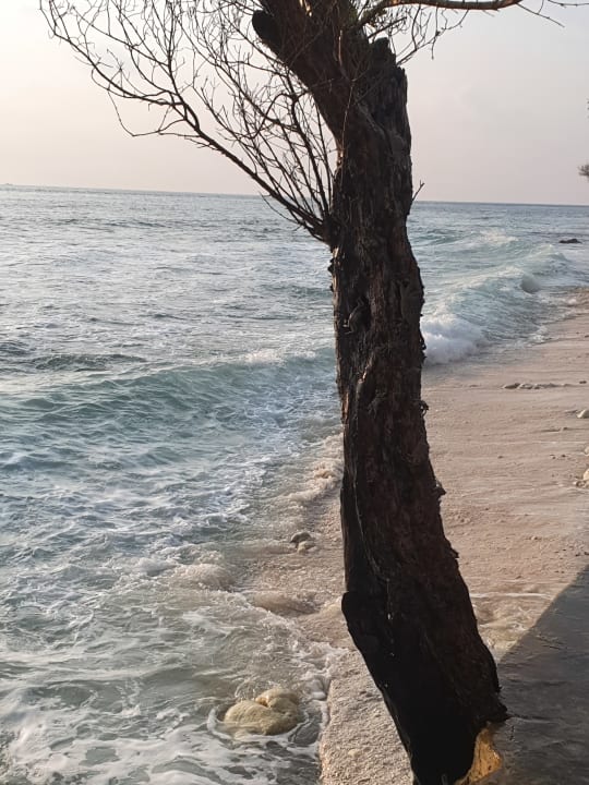 Strand Cinnamon Dhonveli Maldives