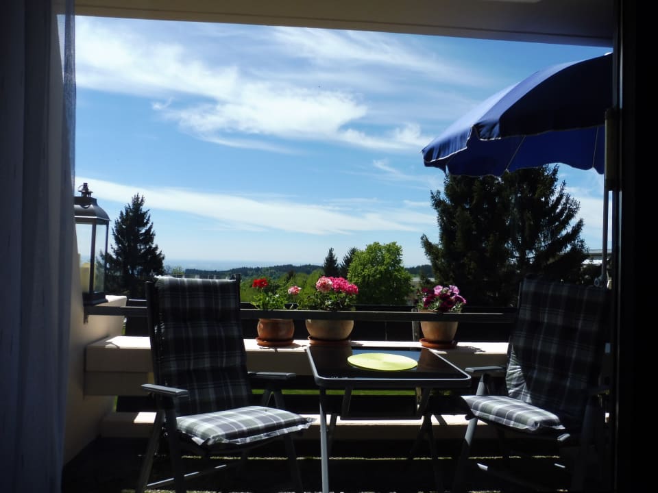 Ausblick Bayerwald Ferienwohnungen Brinckmann