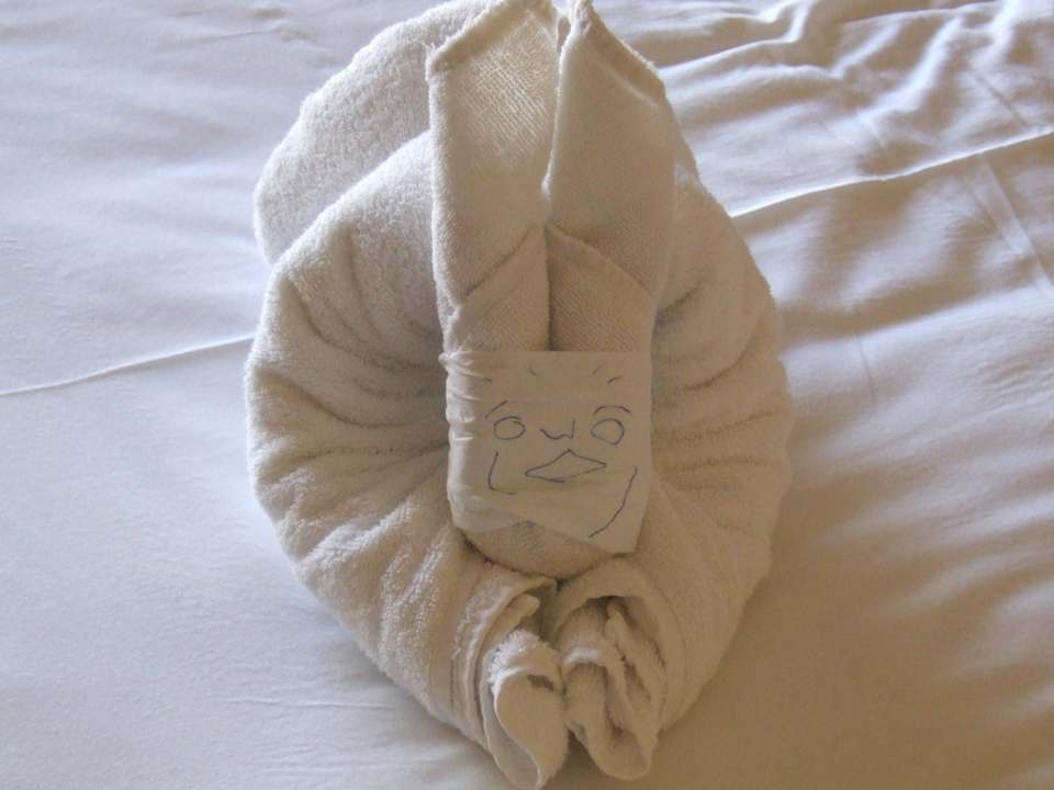 Codzienny widok na łóżku Palmyra Resort