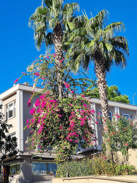 Pool Club Sidelya Hotel