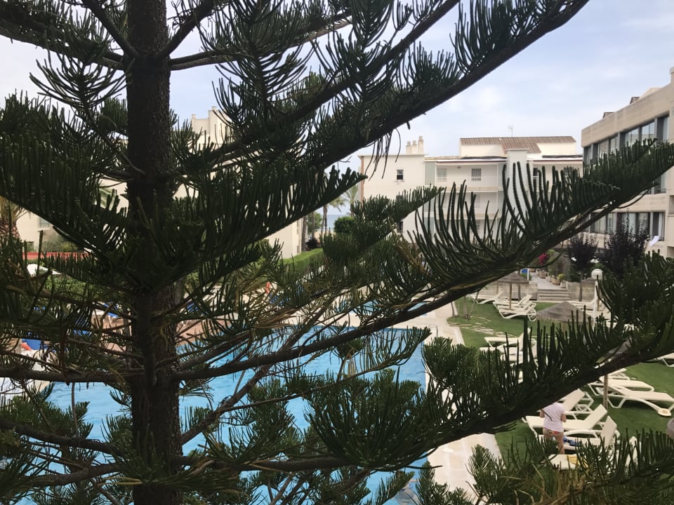 Ausblick Hotel Atenea Park Suites & Apartments