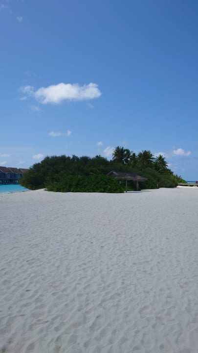 Ausblick Kuramathi Maldives