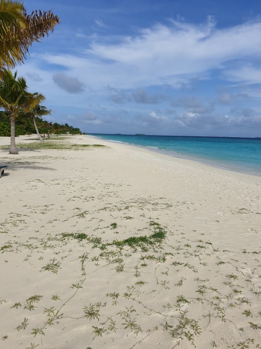 Strand Kuredu Island Resort & Spa