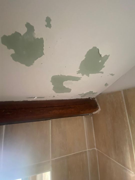 Zimmer Villas Aurelia