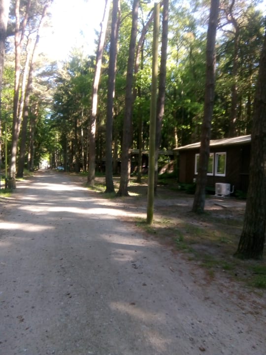 Lobby Fynnus - Feriendorf Am Bakenberg