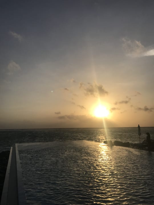 Pool Summer Island Maldives