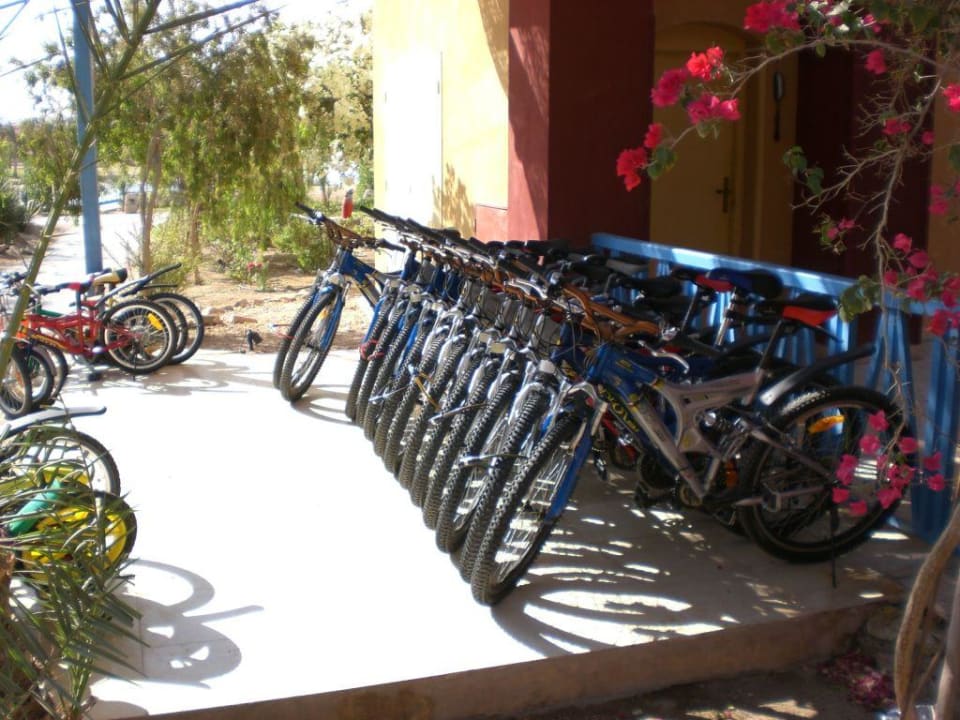 Fahrradverleih im Hotel Sheraton Miramar Resort El Gouna