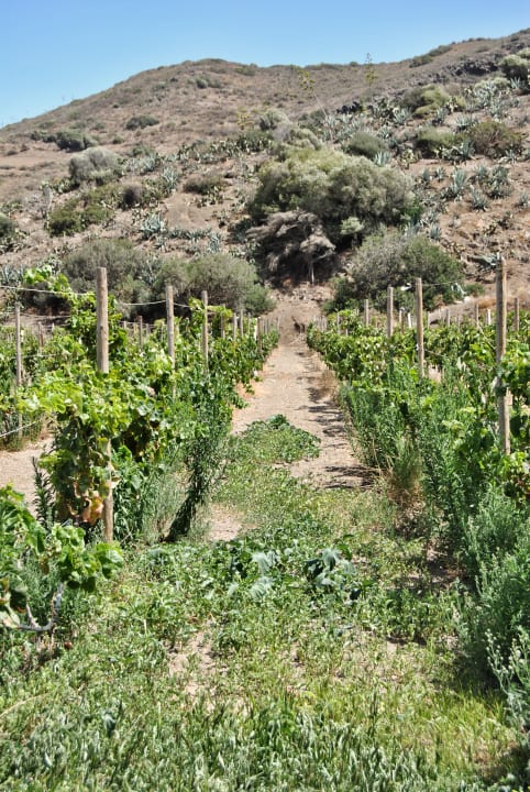 Gartenanlage Hotel Rural El Mondalón