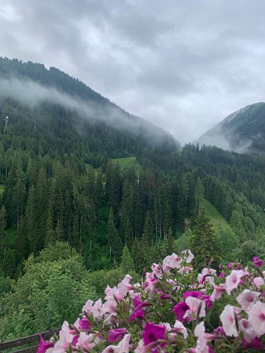 Ausblick Haus Sattelblick