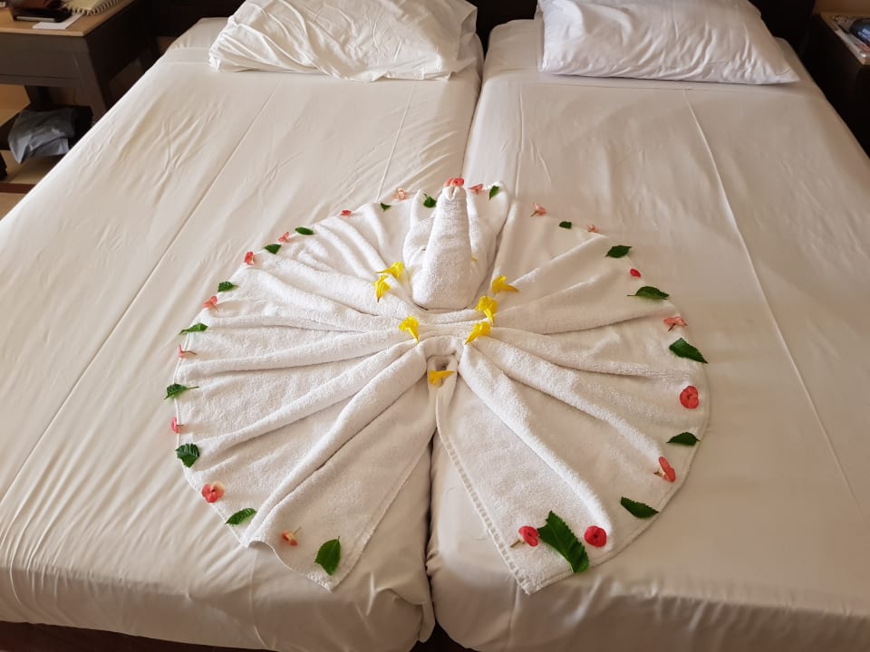 Zimmer Jaz Dar EL Madina