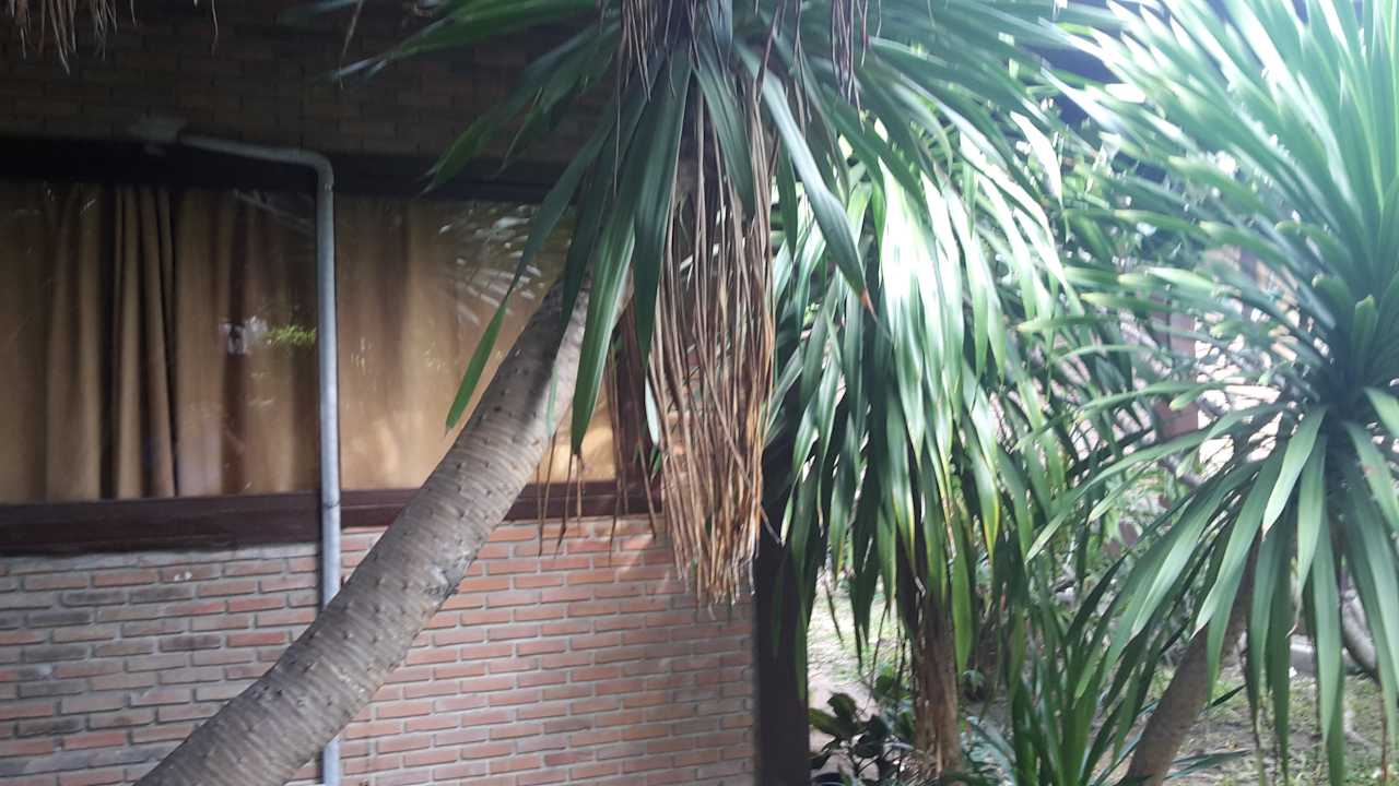 Gartenanlage Hotel The Cottage