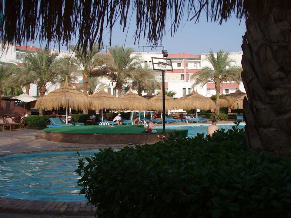 Unterer Pool Albatros Sharm Resort