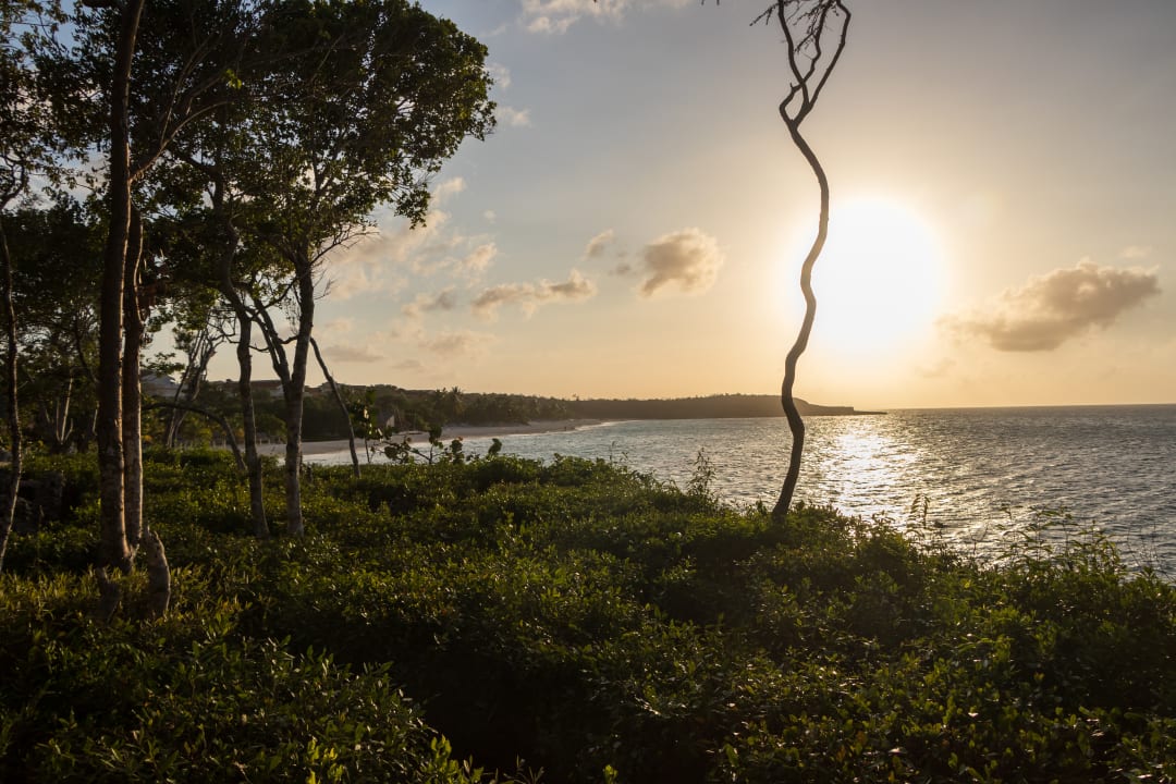Ausblick Paradisus Rio de Oro Resort & Spa - Adults only