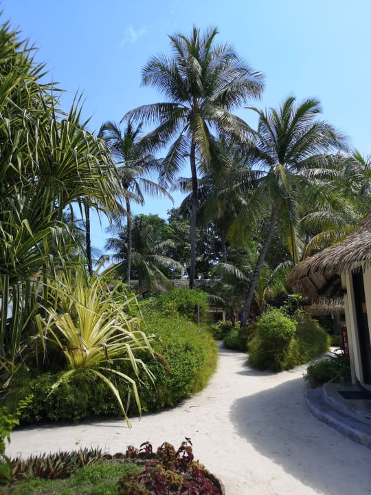 Außenansicht Kuredu Island Resort & Spa
