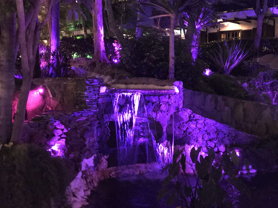 Gartenanlage Hotel Parque Tropical