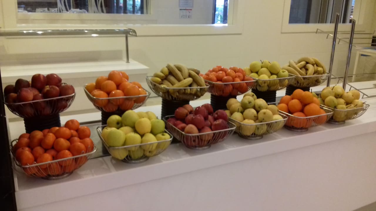 Gastro Adalya Elite Lara