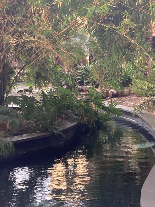 Gartenanlage Lopesan Baobab Resort