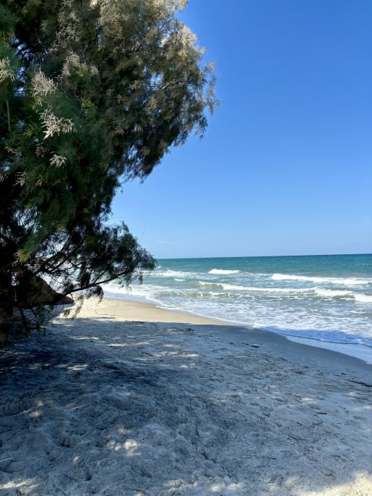Strand Neptune Luxury Resort